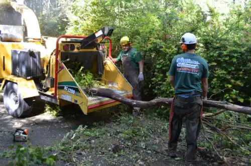 tree services Lawrence